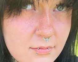 Bee Septum Nose Ring, Silver Nose Ring Hoop, Bee Cartilage Earring, Septum  Piercing 18g, Nose Jewelry, Nose Ring Bee, Snug Septum Hoop