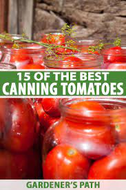 Cook tomato mixture over medium heat until heated through and then simmer for 30 minutes. 15 Of The Best Canning Tomatoes You Should Grow Gardener S Path