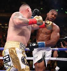 Image result for what happens if anthony joshua loses