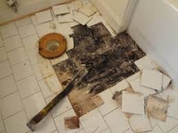 Thankfully, mold growth on the bathroom shower tiles does not typically indicate a major health or structural problem. Black Mold On Tile Floor Novocom Top