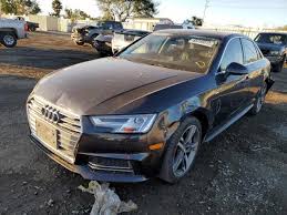 Image result for Argus Brown 2018 A4