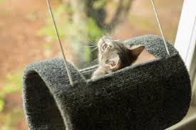This diy cat window perch may make you feel impressive! Diy Hanging Cat Bed Hgtv