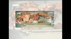 We did not find results for: Truly Disturbing 7 Ways To Die 2 Warning Graphic Images Youtube