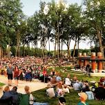Summer Concerts at the LaFontaine Family Amphitheater