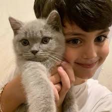 FirstpostNews: Microsoft has urged its employees