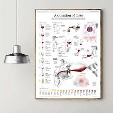 A Question Of Taste Wine Chart Art Canvas Poster Prints Home Wall Decor Painting 20x30 Inches