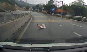 Vietnam Driver Spots Baby Crossing The Road Daily Mail Online
