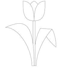 Free Printable Tulip Coloring Pages For Kids Flower Templates Printable Free Flower Templates Printable Printable Flower Coloring Pages