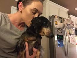 Lost Dog Murphy in Gwinnett County GA near Harbins 316