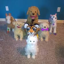 Furreal Friends Collection 01 12 19 By Https Www Deviantart Com Encorepride On Deviantart Fur Real Friends Lps Pets Little Live Pets