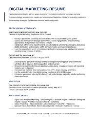 How do i write a cv with no experience as a college student? Digital Marketing Resume Example Writing Tips