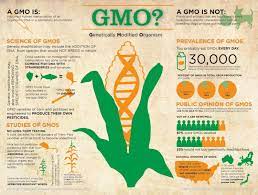 What Is Gmo Genetically Modified Organism Infographic Gmo Facts Genetically Modified Food Gmo Foods