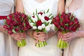 Maybe you would like to learn more about one of these? Bride And Bridesmaids Holding Red Tulip Wedding Bouquets Stock Photo Picture And Royalty Free Image Image 18976972
