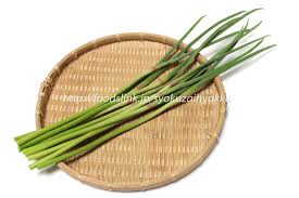 ニンニクの芽 茎にんにく 旬の野菜百科