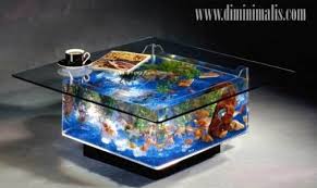 Bagi sebagian orang memelihara ikan hias mungkin sangat membosankan, atau juga bagian sebagian orang memelihara ikan hias membutuhkan banyak modal, terutama menggunakan media aquarium. 3 Tips Memelihara Ikan Akuarium Air Tawar Di Rumah Minimalis