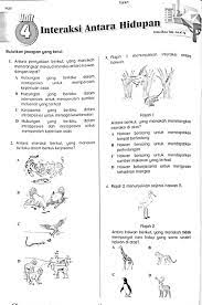 Interaksi antara kelompok dan kelompok. Interaksi Antara Hidupan Worksheet