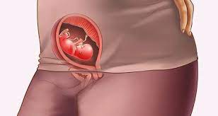 13 Weeks Pregnant 13 Weeks Pregnant Symptoms Baby At 13 Weeks Huggies India