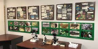 I am enrolled in the following course (tick. Certificate Iii Urban Pest Management Course Face To Face Mpl Training Centre Pest Control Termite Training