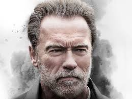 Desktop Wallpapers Arnold Schwarzenegger Men Aftermath 1600x1200