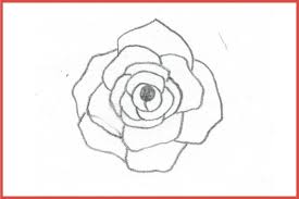 To begin the simple rose drawing, first doodle a teardrop egg, which is slightly angled to the right. Hey Kids Draw This Beautiful Rose For A Chance To See Your Artwork Published