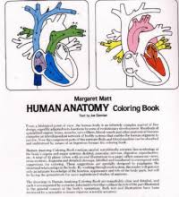 Netters coloring book spikedsweettea com. Free Coloring Book Human Anatomy Download Pdf Online
