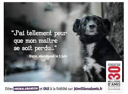 Chaque mois, plus de 100 pages pour mieux connaitre et mieux aimer les animaux. La Fondation 30 Millions D Amis Lance Sa Campagne D Ete Carenews Info