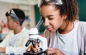 29 Great 2nd-Grade Science Projects Ideas