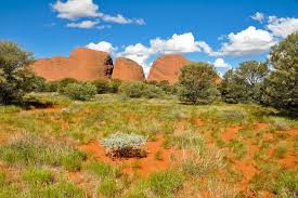 Alice springs is not a large town by world standards. Die Besten Alice Springs Wustenpark Touren 2021