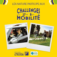 Lea Nature On Twitter Playbill Lea Engagement