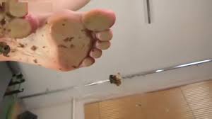 Amelia Snail Crush Porn Video | HotMovs.com