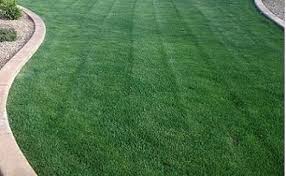 Maybe you would like to learn more about one of these? Green Valley Sod Sale Free Delivery To Phoenix Tucson