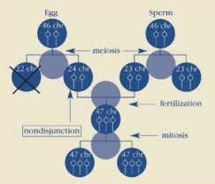 what is down syndrome national down syndrome society