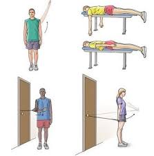 Image result for Shoulder Strength Exercises