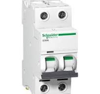 A9F44220 - Acti9 iC60N 2P 20A C Miniature Circuit breaker ...