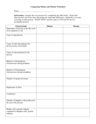 Mitosis Meiosis Review Sheet