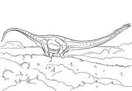 Disegno Di Mamenchisaurus Da Colorare Disegni Da Colorare E