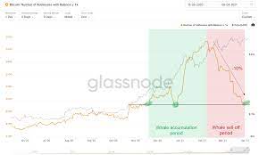 The kitco bitcoin price index provides the latest bitcoin price in us dollars using an average from bitcoin was designed and created by an anonymous programmer, or possibly group of programmers. 5 Key Reasons Why Bitcoin Will Likely See New All Time Highs Soon Frcusvi Org