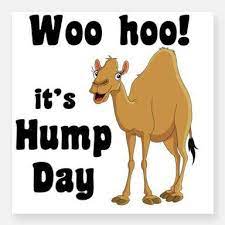 What do you call a three humped camel? Facebook