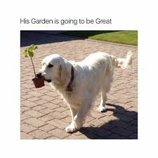 100 Animal Memes To Make You Laugh This Spring Funnyfoto Memes Animal Memes Funny Animal Pictures