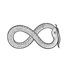 It's a snake coiled into the shape of an infinity symbol. Infinity Snake Vector Images Over 220