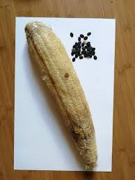 Image result for Luffa