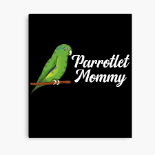 Lienzos: Chicas Loro