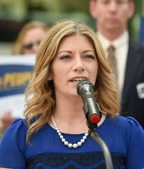 Democratic candidates for the state Legislature support progressive agenda 