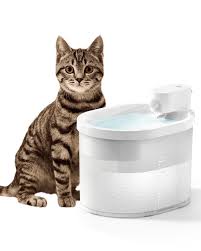 Smart Cat Water Fountain with App Control for Cats and Small Dogs