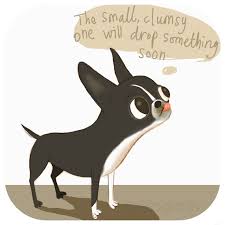 Illustration Of My Table Shark Toots Boston Terrier Funny Boston Terrier Lover Boston Terrier Dog