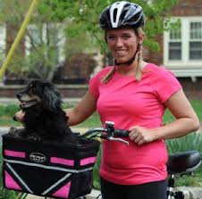 A dog basket on your bicycle means comfort and safety when transporting your trusty pet. 5 Of The Best Dog Bike Baskets To Safely Take Your Dog Cycling In 2021 Average Joe Cyclist