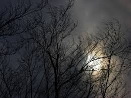 This will reflect the basic premise that you are more aware of others needs than you are of your own, and so will take action for. What Does The Full Moon In Cancer Mean Llewellyn Unbound