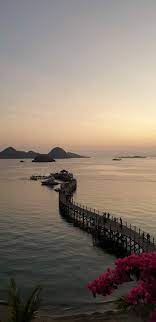 Check spelling or type a new query. Labuan Bajo Fotografi Fotografi Alam Alam