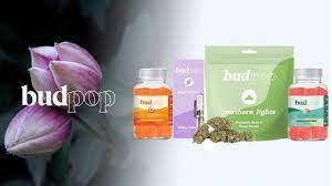150mg cbd gummies