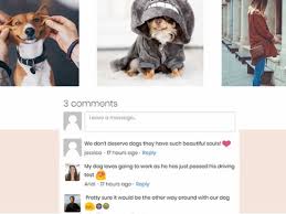 Ihre internetseite bekannt machen mit wertvollen inhalten. Drittanbieter App Comments By Codemagic Ltd Support Zentrum Wix Com
